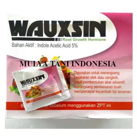 WAUXSIN auxin zpt akar, hormon perangsang & penumbuh akar tanaman