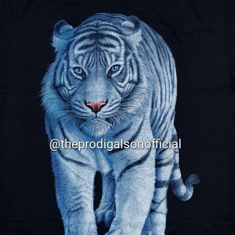 Kaos Rock Chang Import Size XL Harimau Putih 4 HD Glow in The Dark