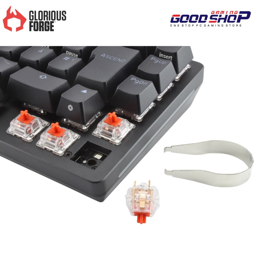 Glorious Fox Mechanical Switches (Lubed) - Keyborad Switch