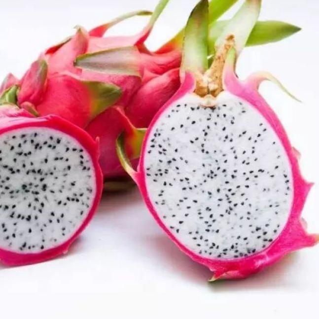 

☼ Buah Naga putih Dragon white 1 kg ➺