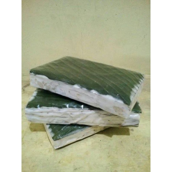 

Tempe Goreng Marinasi