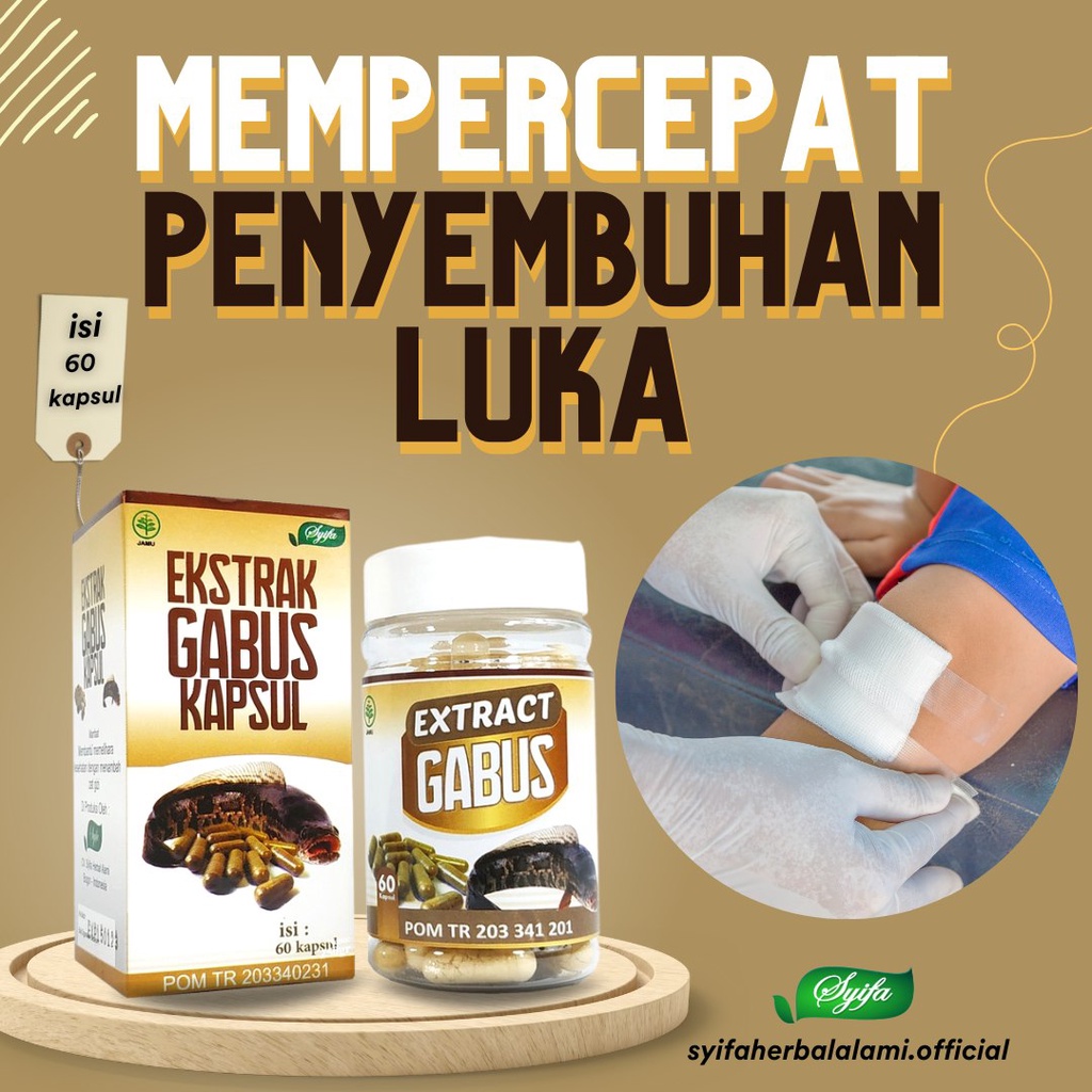 Kapsul Ekstrak Sari Ikan Kutuk Gabus Albumin Untuk Obat Penyembuh Pengering Luka Bakar Diabetes Jahitan Sunat Pasca Melahirkan Operasi Cesar Caesar