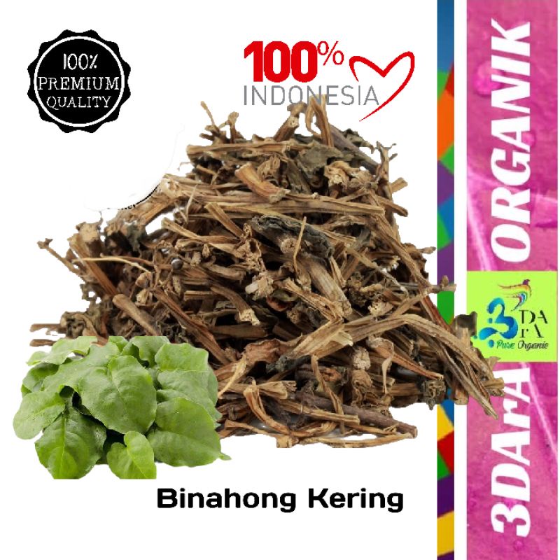 

Herbal Binahong Kering 500gr Asli Tanpa Campuran