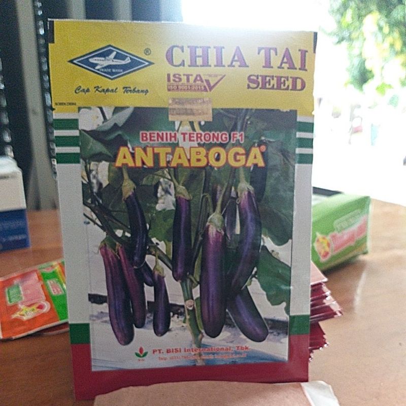 Terong F1 Antaboga