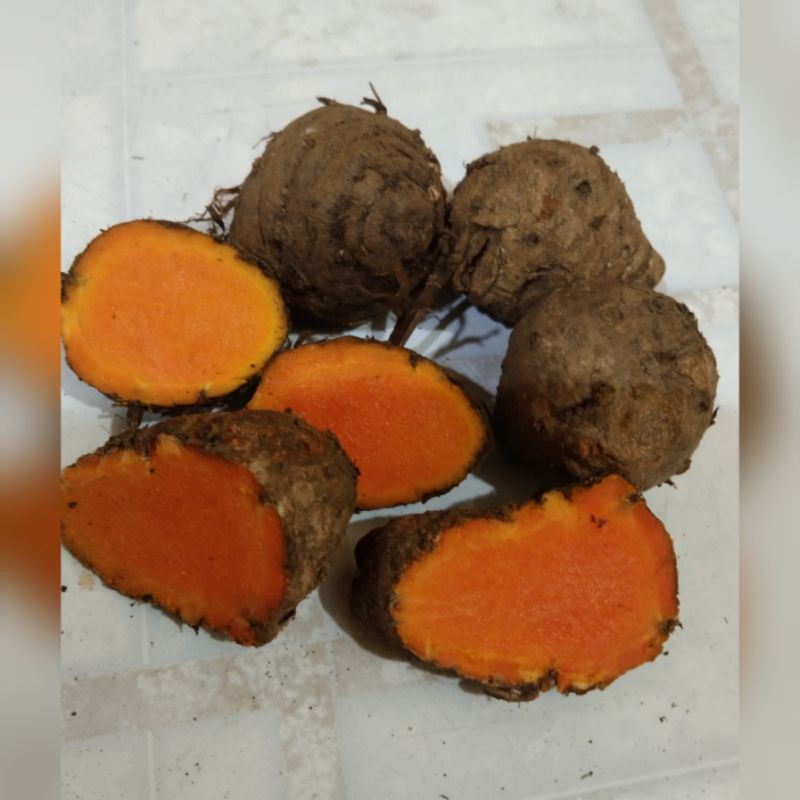 

biang kunyit segar