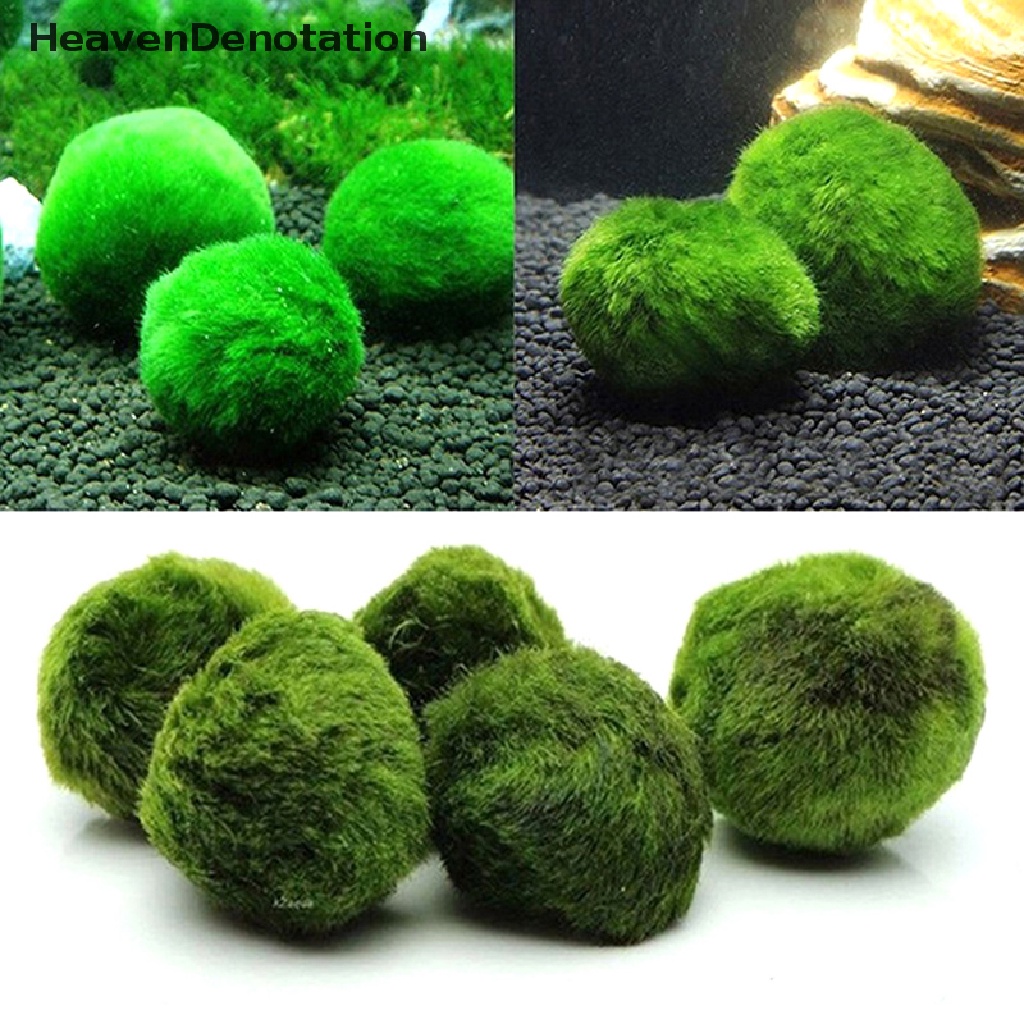 [HeavenDenotation] 2-3cm Marimo Balls Algae Fish Shrimp Ornament HDV