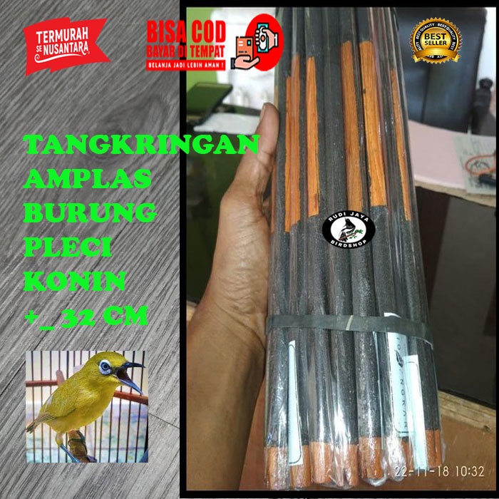 READY TANGKRINGAN PLECI KONIN AMPLAS 1 PCS KAYU JATI KANDANG BURUNG PLECI KONIN BUKAN EBOD