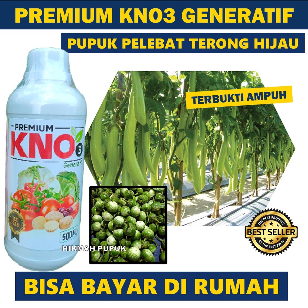 KNO3 GENERATIF Penyubur Tanaman Terong Hijau - Pupuk Cair Pelebat Terong Hijau Lalap, Terong Ungu da