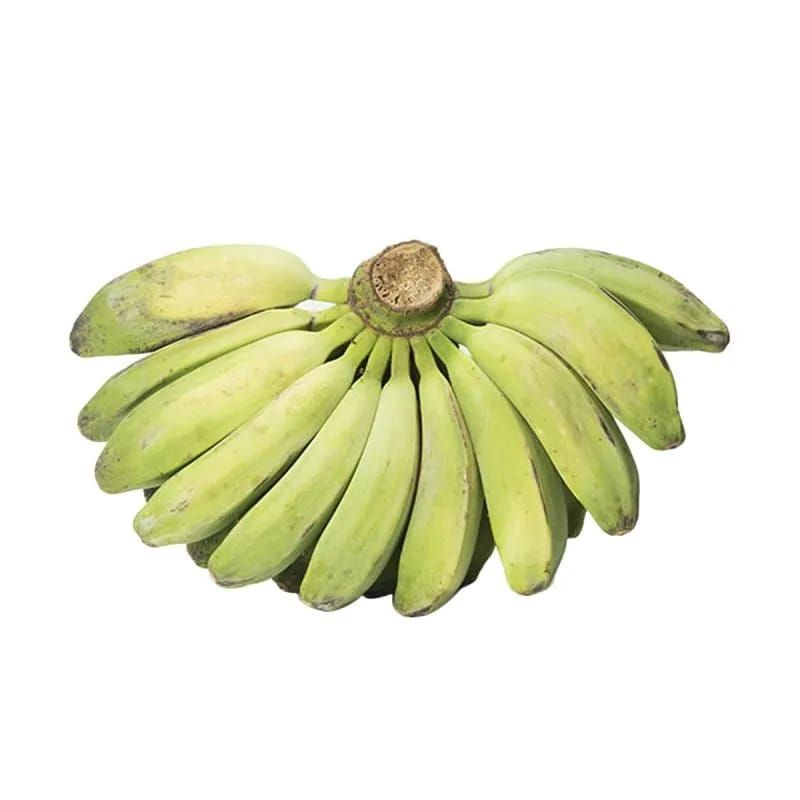 

Pisang Kepok 1ssr