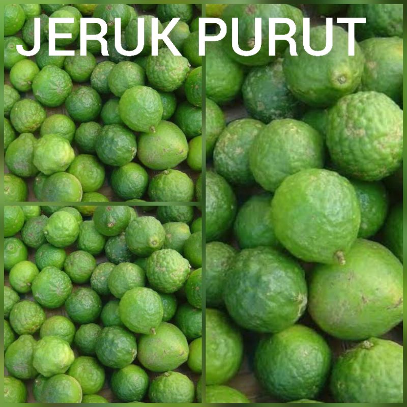 jeruk purut 1KG