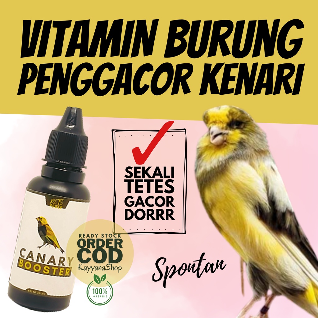 30 ML Vitamin Burung Kenari Gacor / Vitamin Burung Kenari / Vitamin Burung Kenari Cepat Gacor / Vita