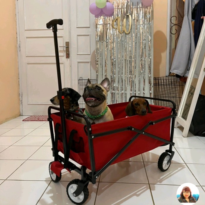 Terlaris Troli Anjing Kucing Pet Stroller