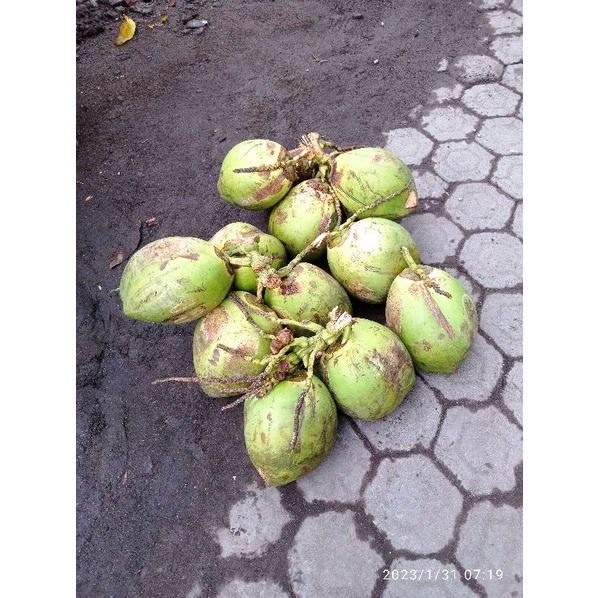 

degan hijau boll merah