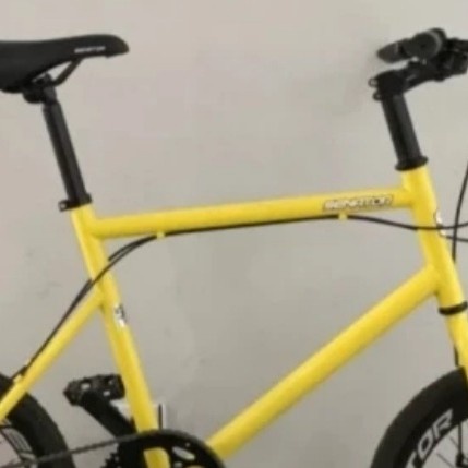 Sepeda Minivelo Senator New 8 Speed Rem Cakram #Original