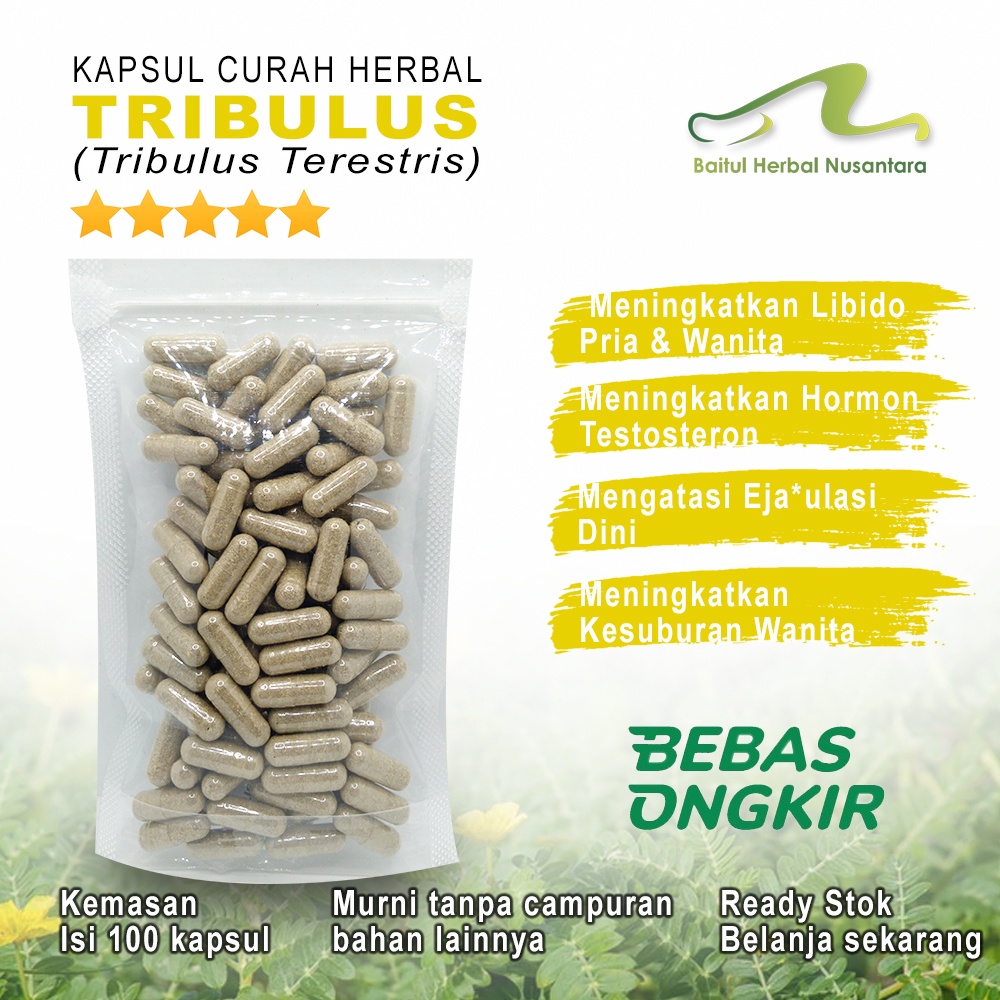 

Tribulus 100 kapsul herbal Meningkatkan Stamina Meningkatkan Massa Otot Testosteron Meningkatkan Produksi & Motilitas Sperma Meningkatkan Kesuburan Wanita