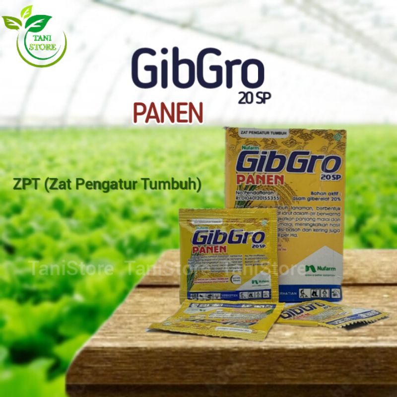 ZPT (zat pengatur tumbuh) GIBGRO PANEN 20 SP