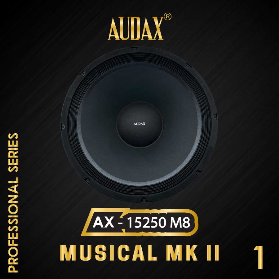 Audax - Speaker Pasif 15" AX-15250 M8 Full Range Professional Series