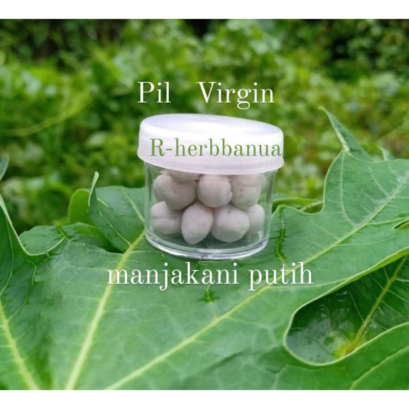 MANJAKANI PUTIH / PIL VIRGIN