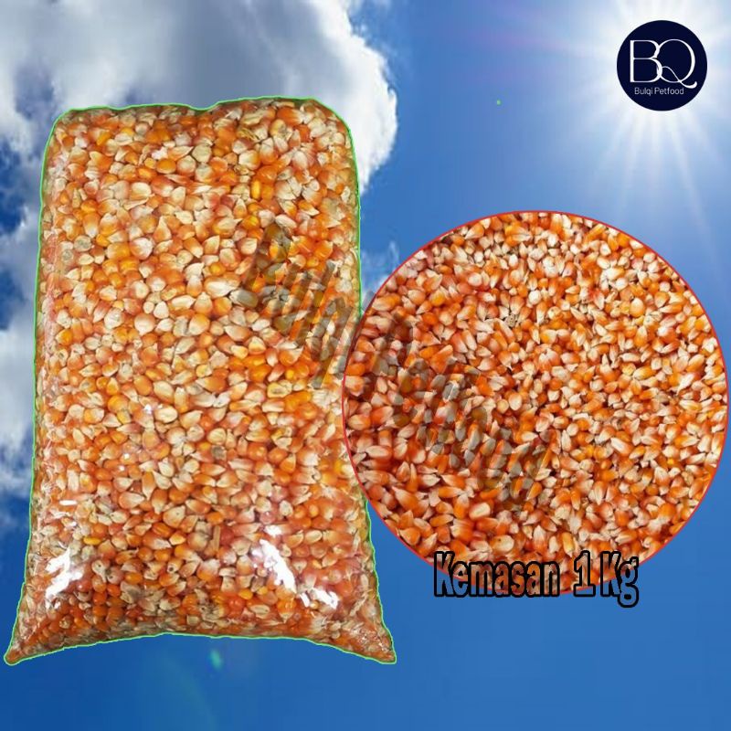 jagung kristal Probolinggo pakan burung repack 1 kg.