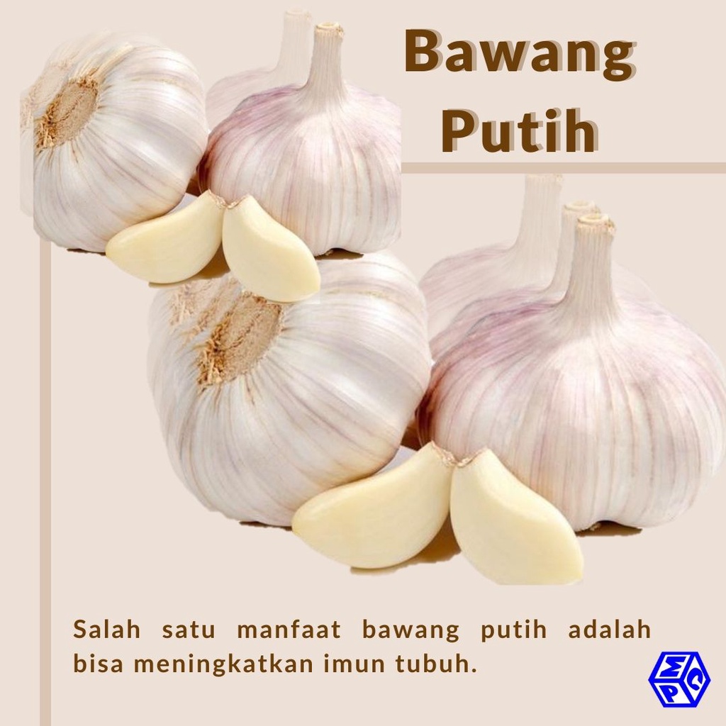 

bawang putih 200gram afshop