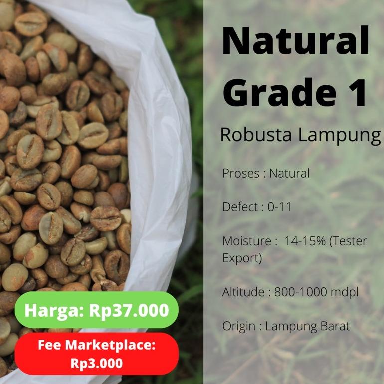 

cxl60 Green Bean Robusta Lampung Petik Merah Grade 1 - Natural Process .,.,.,..,