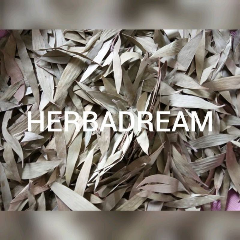 Jual 15 GRAM DAUN KAYU PUTIH MELALEUCA LEUCADENDRA EUCALYPTUS LEAVES ANSHU YE CAJUPUT GELAM