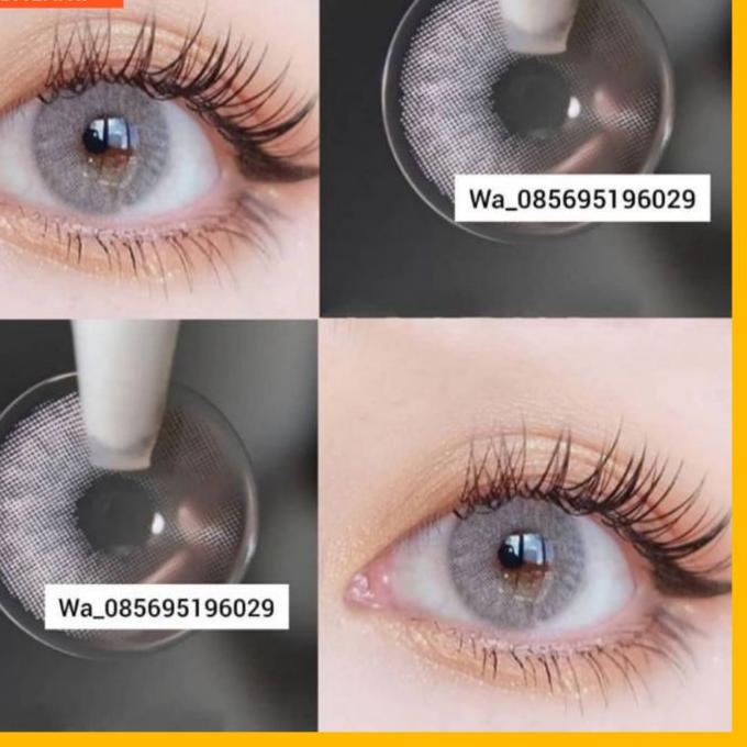 ➲ SOFTLENS SPATAX SOFTLENS BROWN SOFTLENS GREY GRAY NATURAL ✰