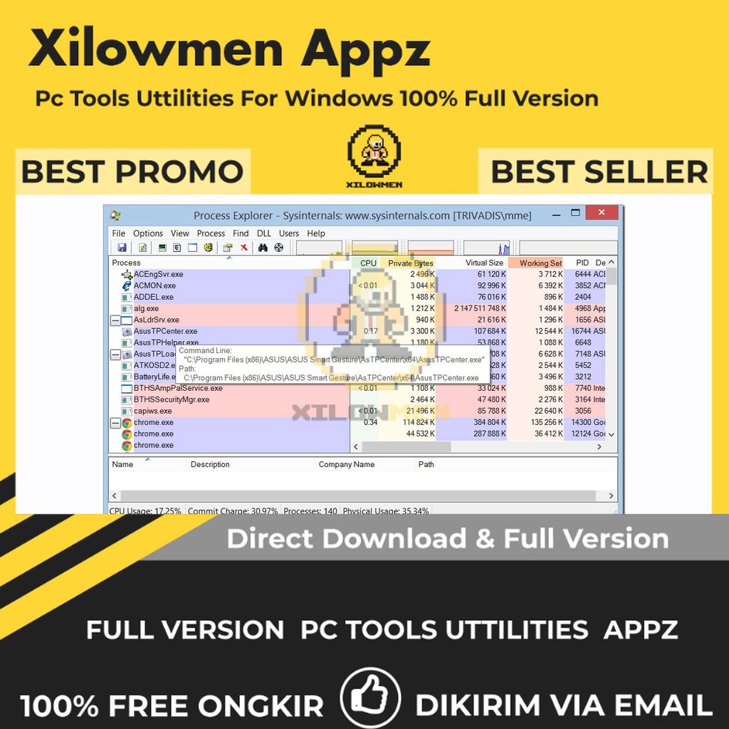 [Full Version] Process Explorer Pro PC Tools Software Utilities Lifetime Win OS