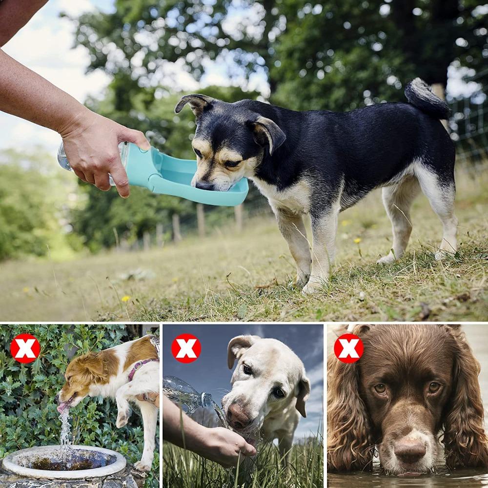 Botol Air Nanas Portable Dog Hiking Drink Cup