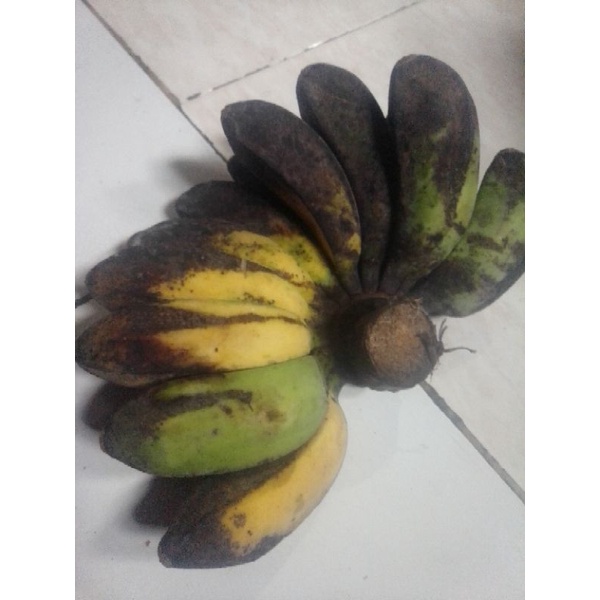 

pisang kepok manis