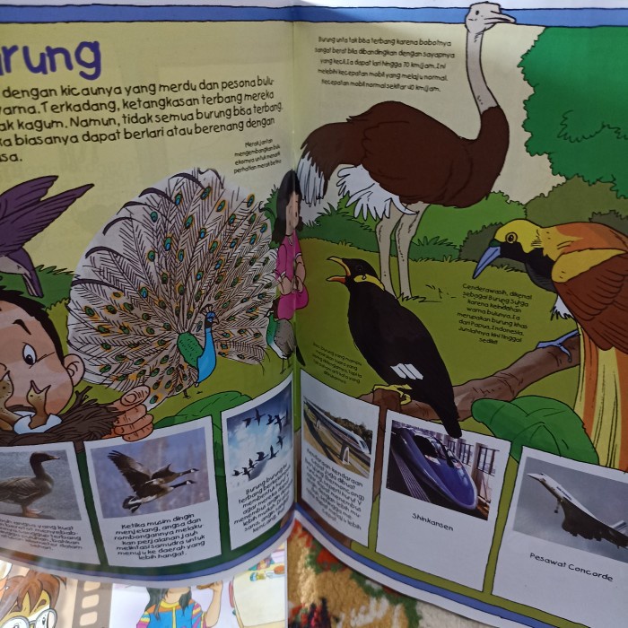 paket 4 buku pengetahuan anak aku bisa bercerita 32 hal berwarna