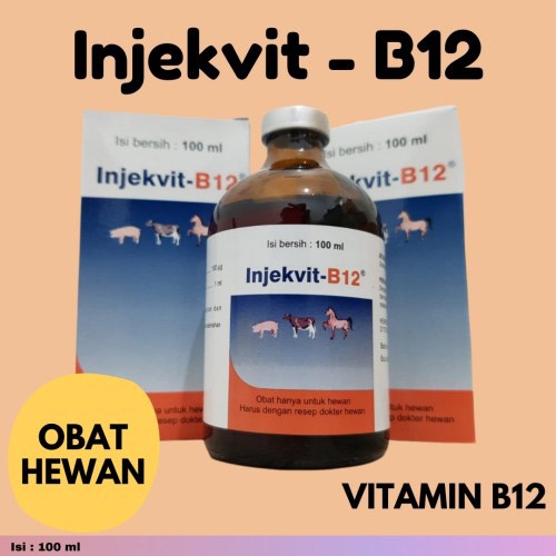 Ready Injekvit B12 Injekvit-B12 Medion Obat Hewan Sapi Domba Kambing Babi Penambah Nafsu Makan