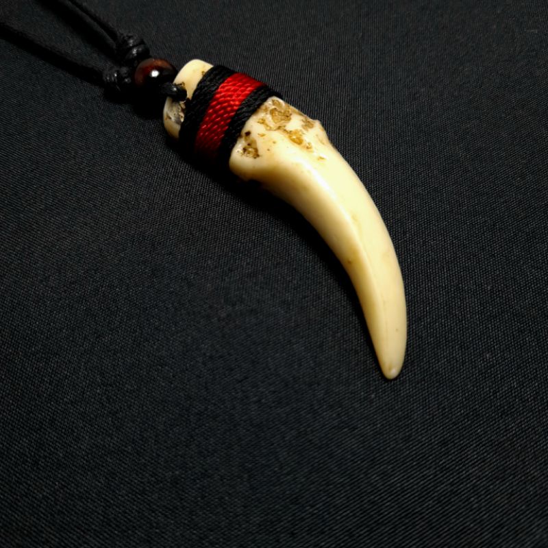 Kalung Taring Etnik / Kalung Taring Pria Wanita / Kalung Tali Liontin Taring / Kalung Taring Bahan R