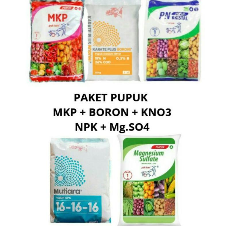 【murah】 PAKET PUPUK ANGGUR EKONOMIS