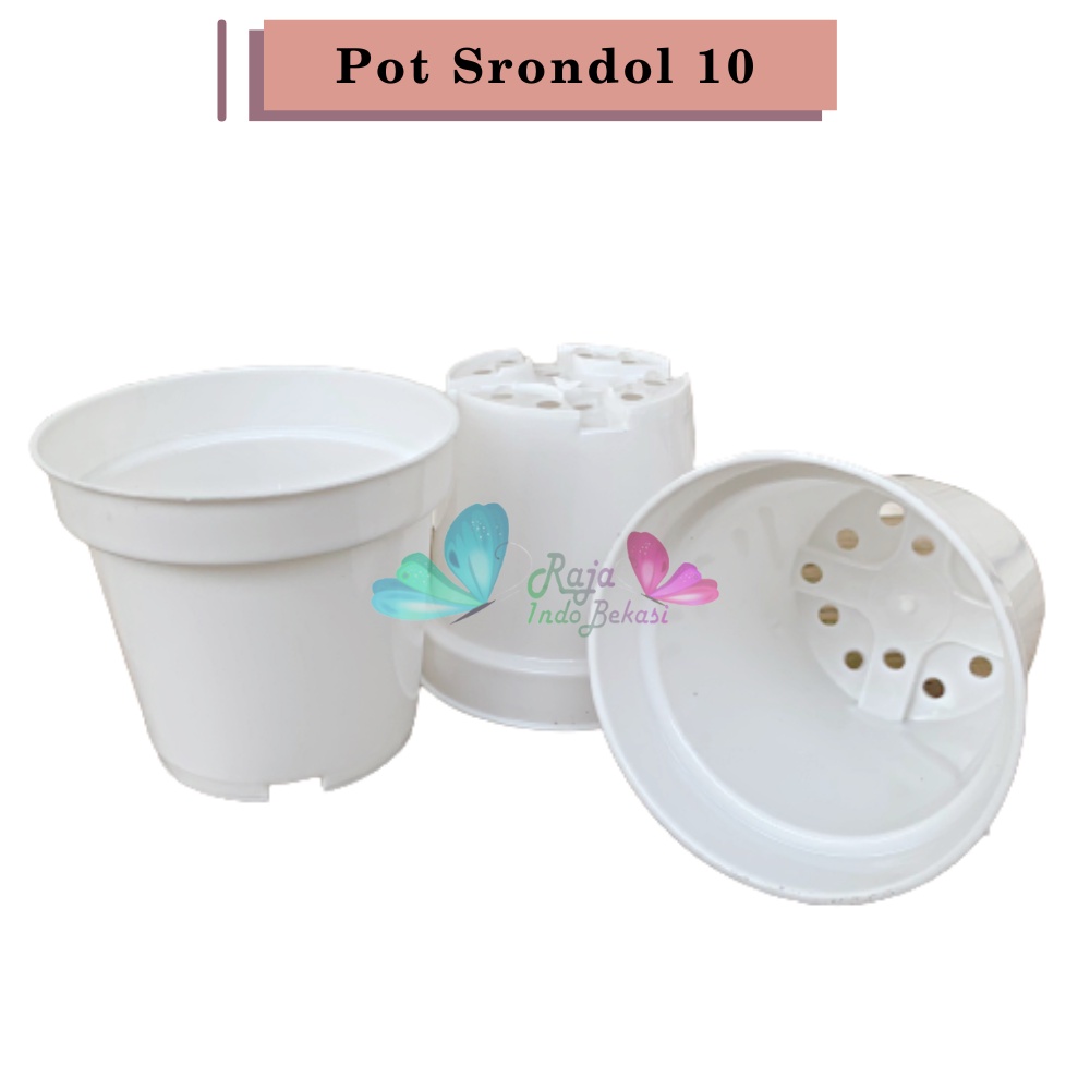 Pot 10 Putih - Pot Bulat Mini Plastik Kecil Bisa Untuk Vas Bunga Kaktus Sukulen Pot Bunga 10 cm Putih Polos