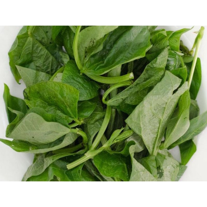

Sayur Daun Kacang 500gr