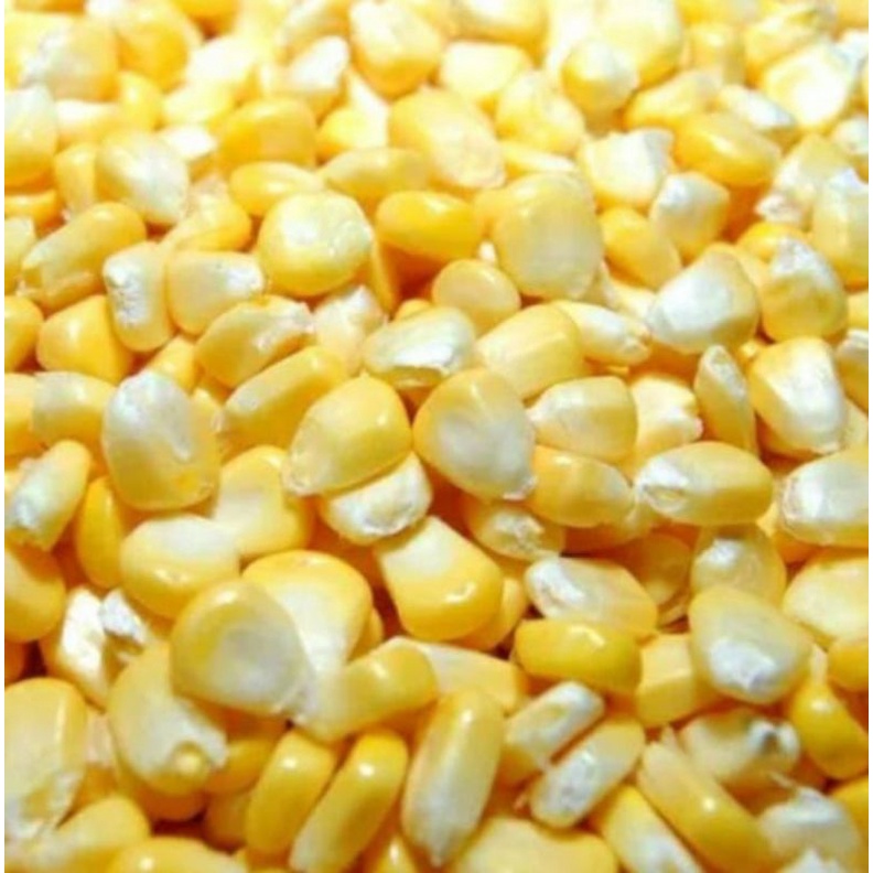 Jagung Pipil Fresh Bok