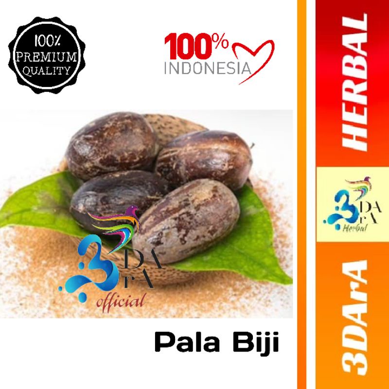 

Pala Biji Lonjong 100gr Premium