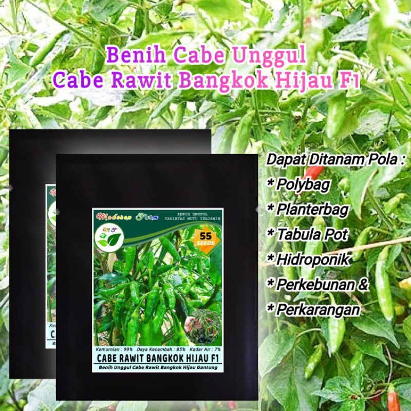 BENIH CABE RAWIT BANGKOK HIJAU F1