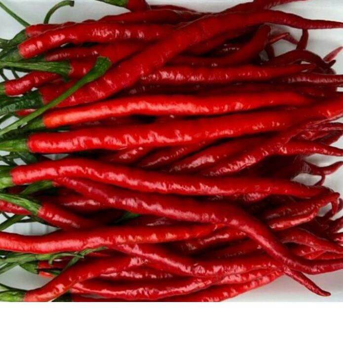 

● Cabe merah keriting 1 kg ☄