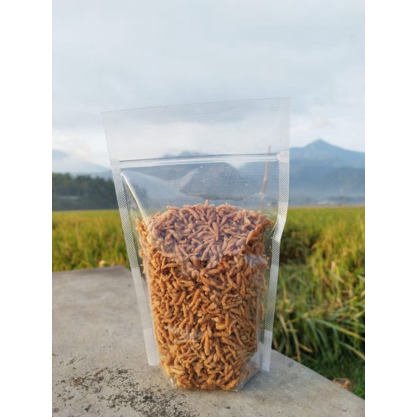 

cetol rawa langsung dari nelayan | 1 kg murah