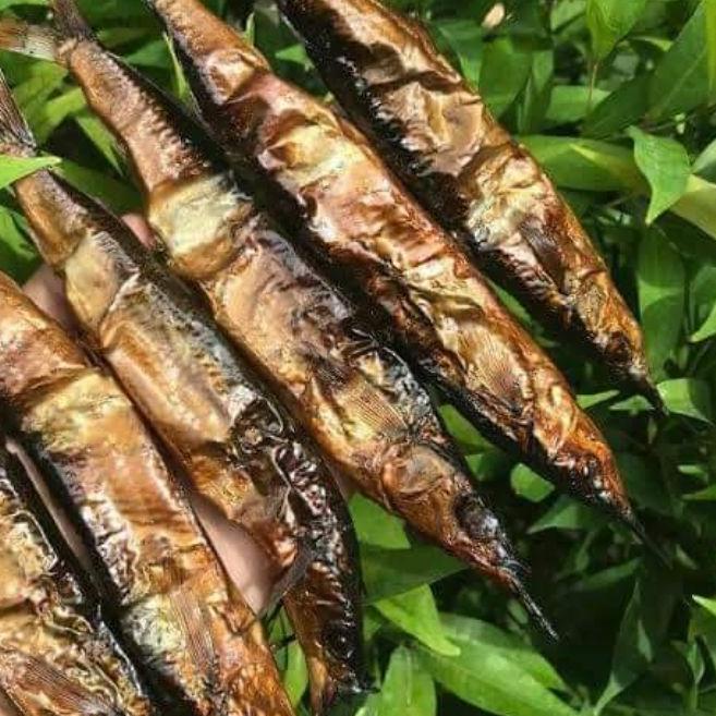 

Terbaru✔️⭐-ikan roa 1 gp 20 ikan