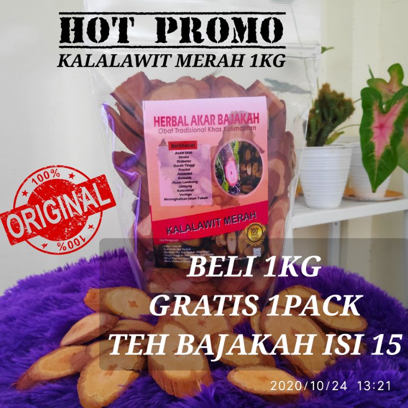 

TERLARIS AKAR BAJAKAH TEH AKAR BAJAKAH ASLI KALIMANTAN 100% ORIGINAL