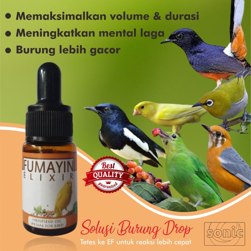 Minyak Fumayin Penggacor Burung Kicau