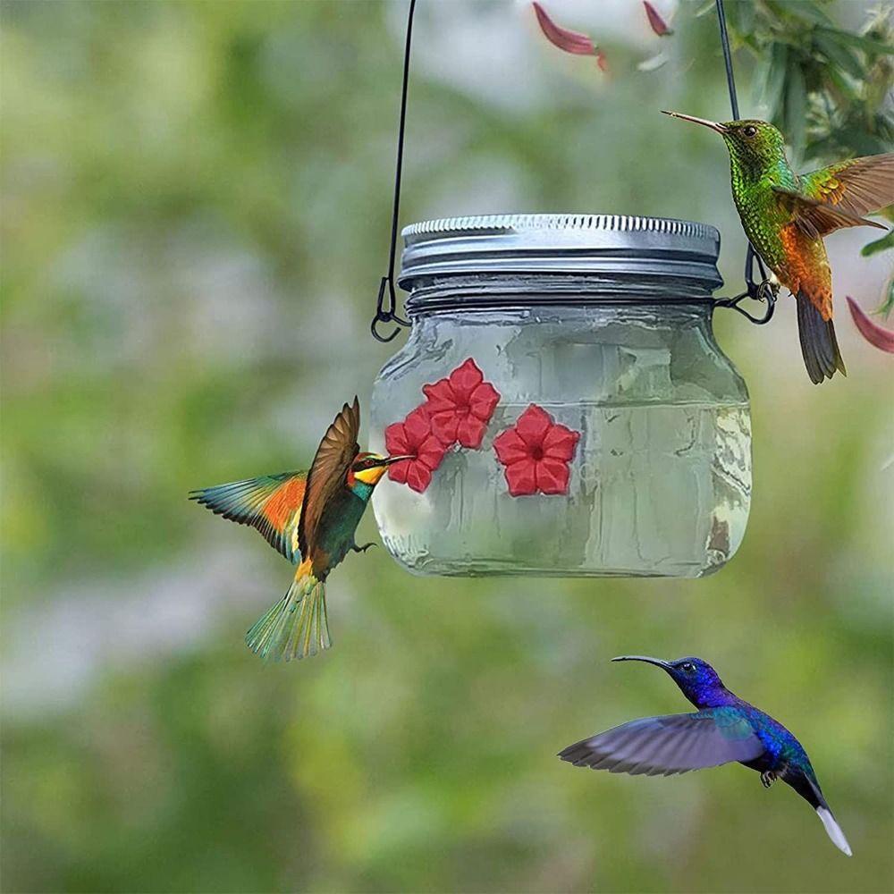 Solighter Bird Water Feeder Outdoor Botol Tempat Makan Gantung Burung Dekorasi Taman Port Makan