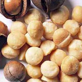 

❇ Roasted Macadamia Nut 250 Grams FREE ALAT PEMBUKANYA ✥