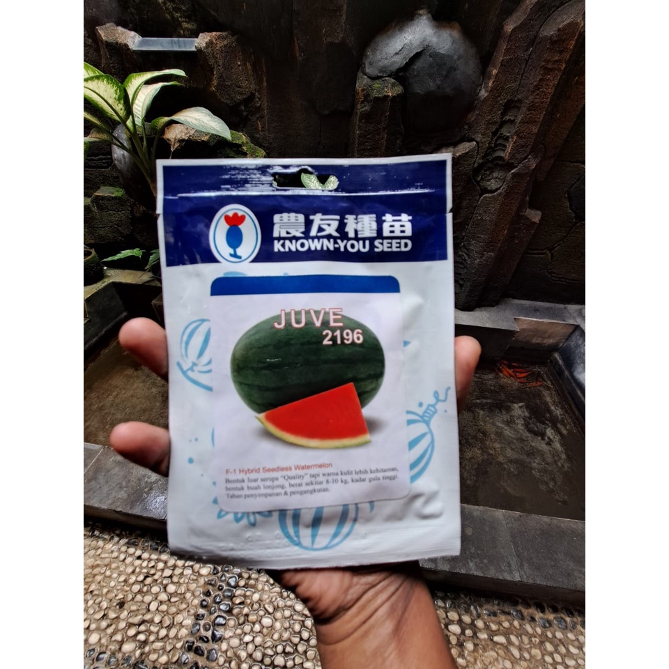 BENIH SEMANGKA JUVE NON BIJI KUALITAS SANGAT BAGUS ORIGINAL