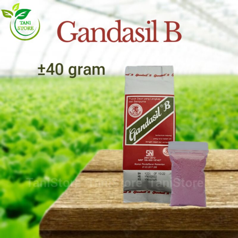 Gandasil B (40 Gram)