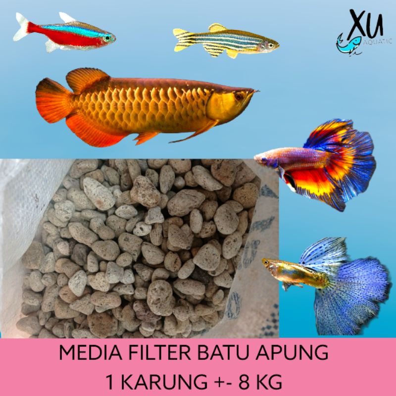 BATU APUNG 8KG  MEDIA FILTER KOLAM AQUARIUM BATU APUNG 1 KARUNG