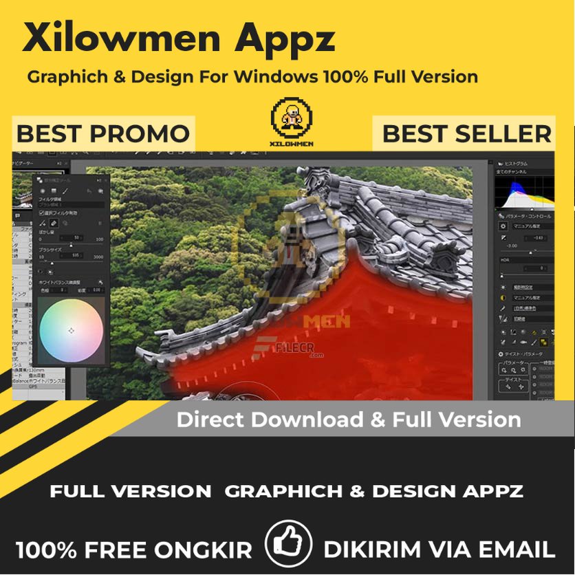 [Full Version] SILKYPIX Developer Studio Pro for Panasonic Pro Design Graphics Lifetime Win OS